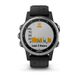 Смарт-часы Garmin fenix 5S Plus серебристо-черные с черным ремешком 010-01987-21 фото 6