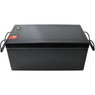 Батарея LiFePo4 PowerPlant 24V 200Ah, LFP24200 (LFP24200)/(NV820641) NV820641 фото
