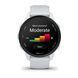 Смарт-годинник Garmin Forerunner 70 білий камінь 010-04307-01 фото 4