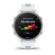 Смарт-годинник Garmin Forerunner 170 білий камінь / хмарно-блакитний 010-03920-01 фото 4