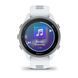 Смарт-годинник Garmin Forerunner 170 Music білий камінь / хмарно-блакитний 010-03920-11 фото 2