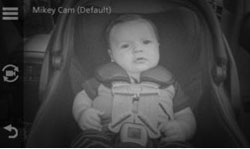 РЕЖИМ НОЧНОГО ВИДЕНИЯ В ВИДЕОНЯНЕ GARMIN BABYCAM