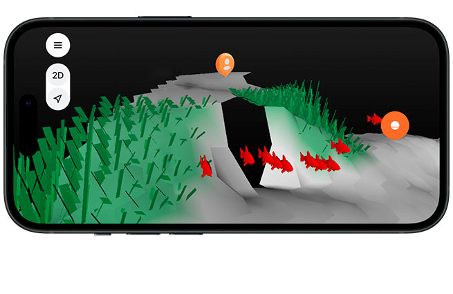 3D