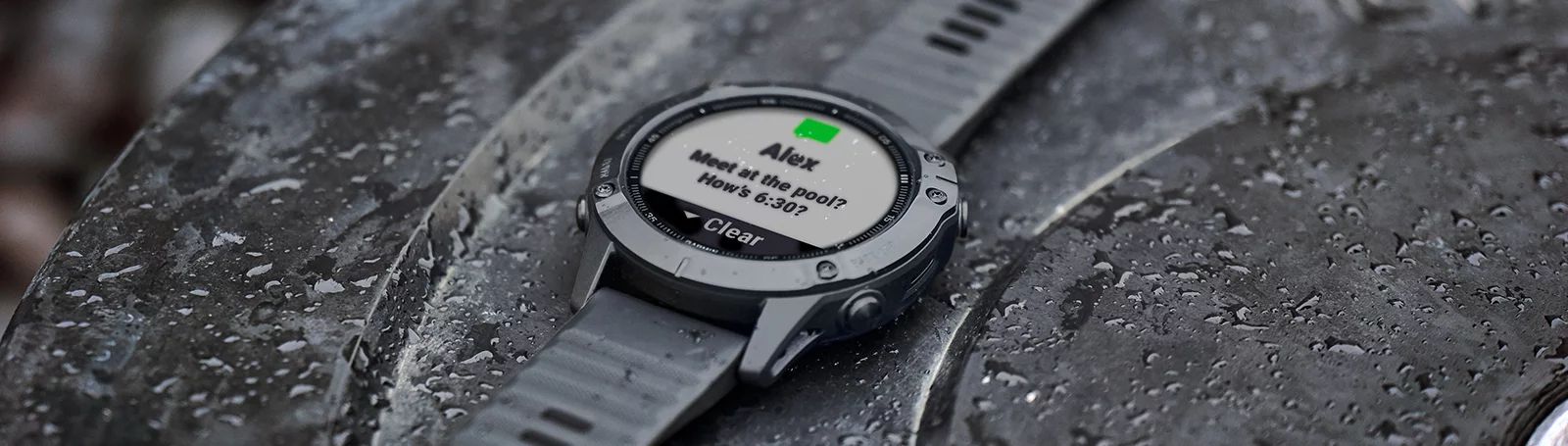 fenix 6